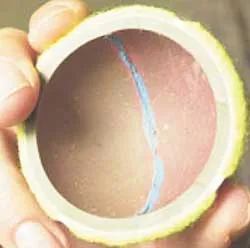 Công nghệ nano tiến vào hàng tiêu dùng